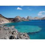 Ecuador 2023: Nature Travel with Galapagos Cruise 